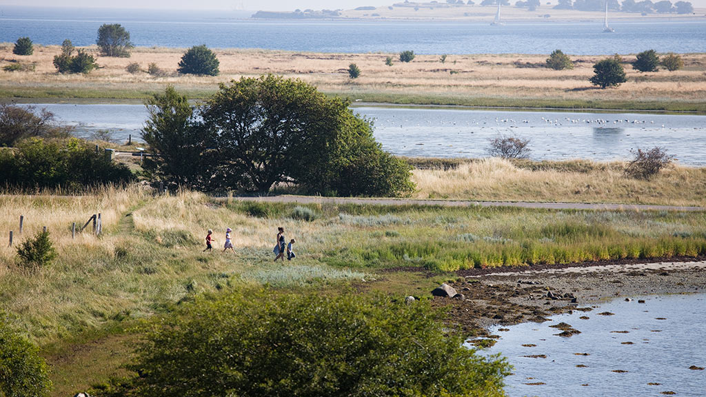The Blue Route in Aarhus