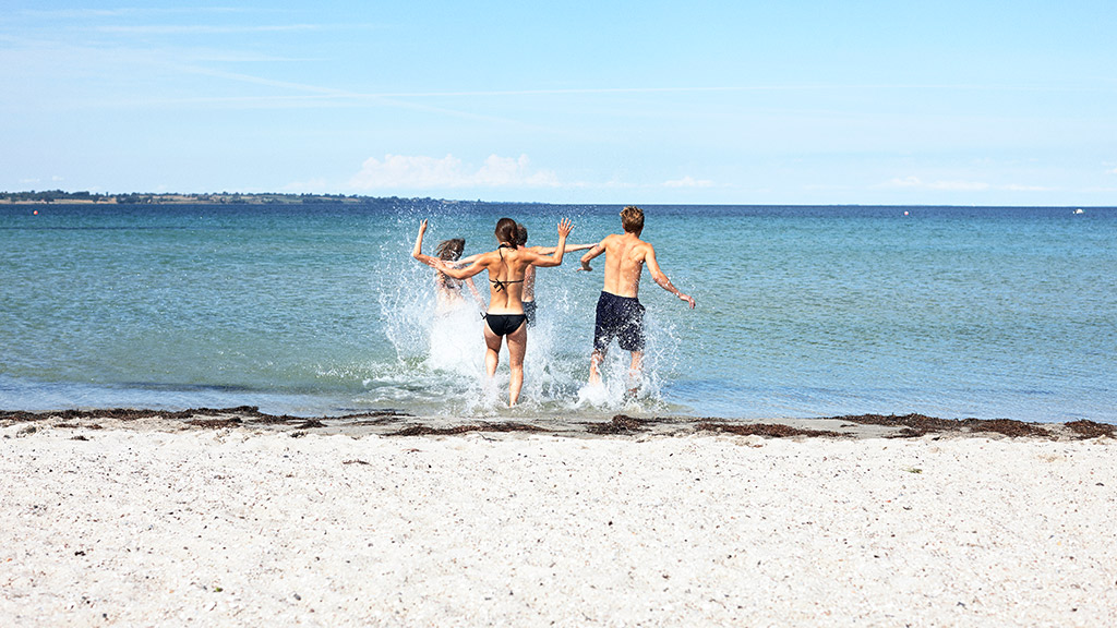 Venner på stranden