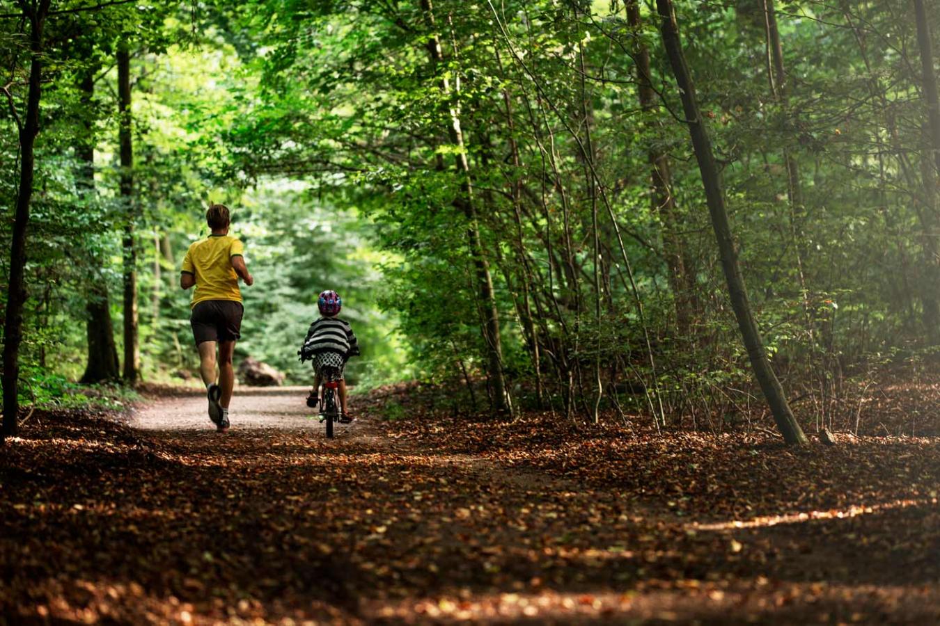 Active dad and child in the forest by Aarhus
