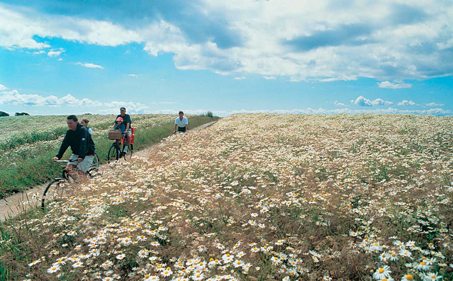 Cykelferie i Danmark