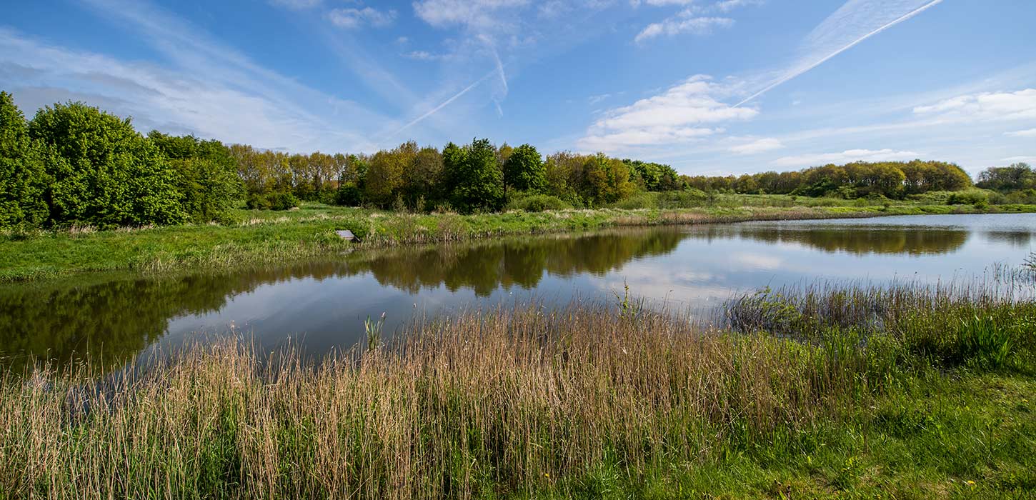 True Skov lake in Aarhus