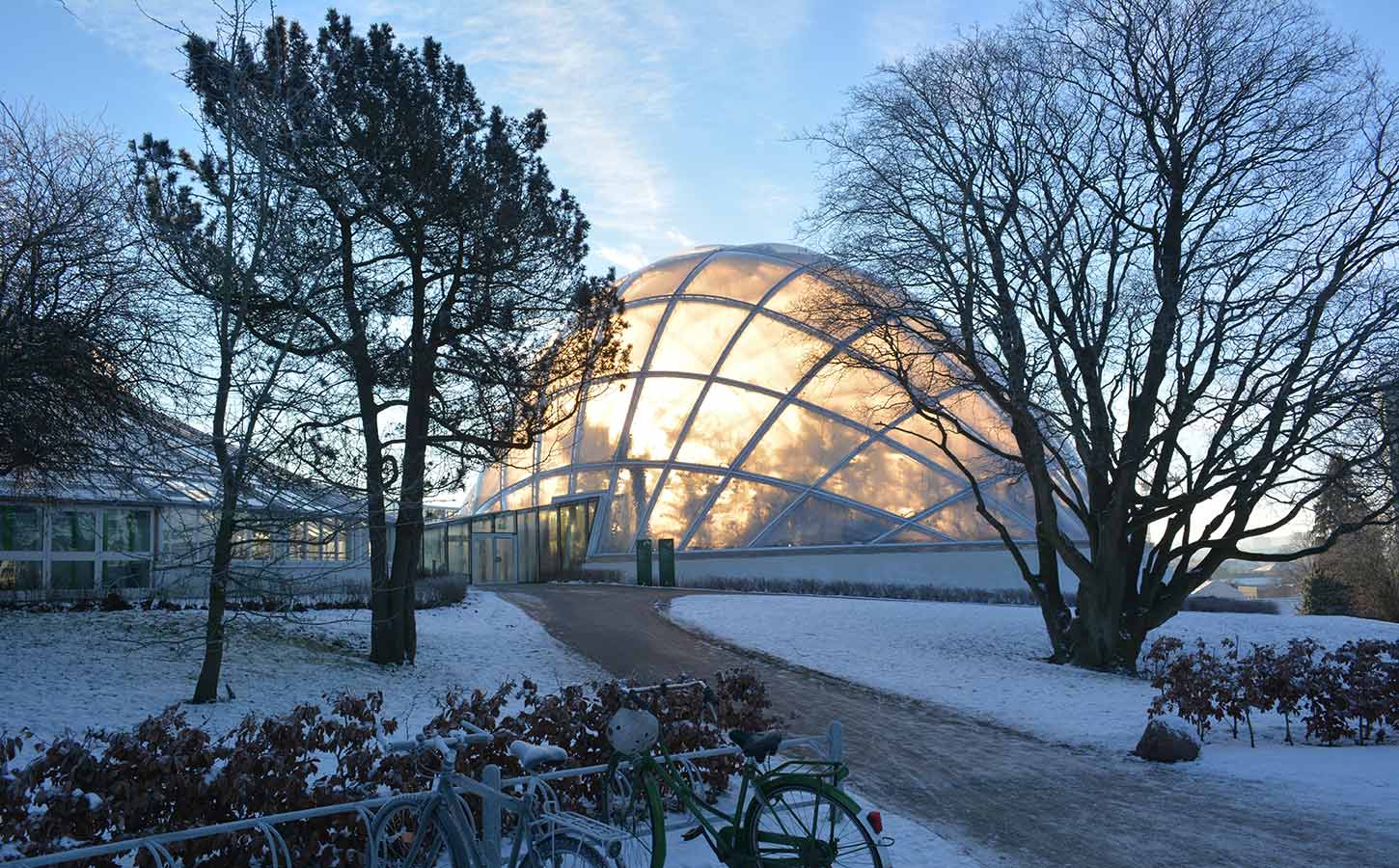 Væksthusene i Aarhus i vinteromgivelser