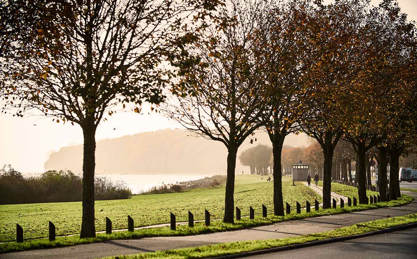 Efterår i Aarhusbugten