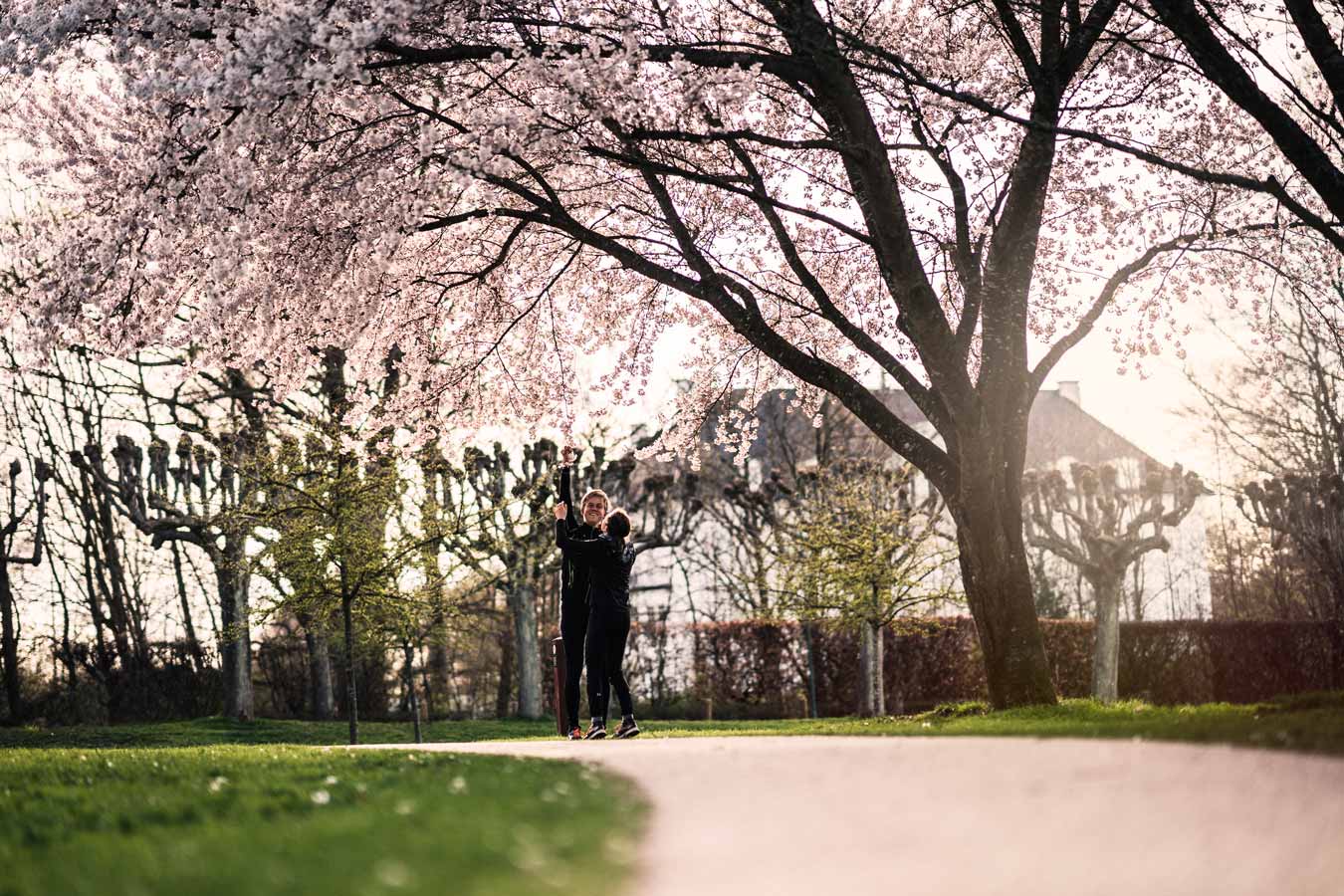 Fruhling in Mindeparken, Aarhus