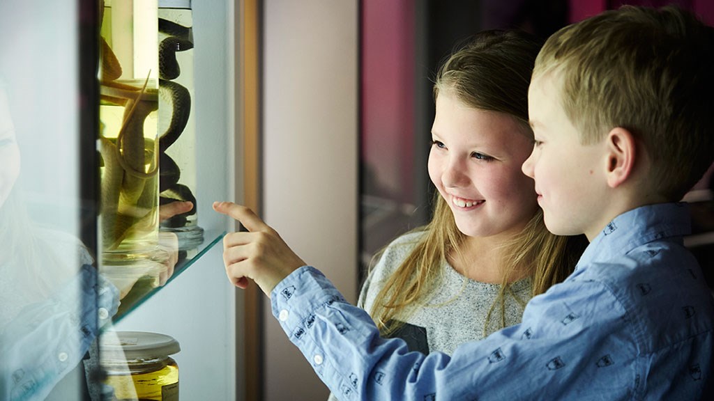 Nørn på Naturhistorisk Museum