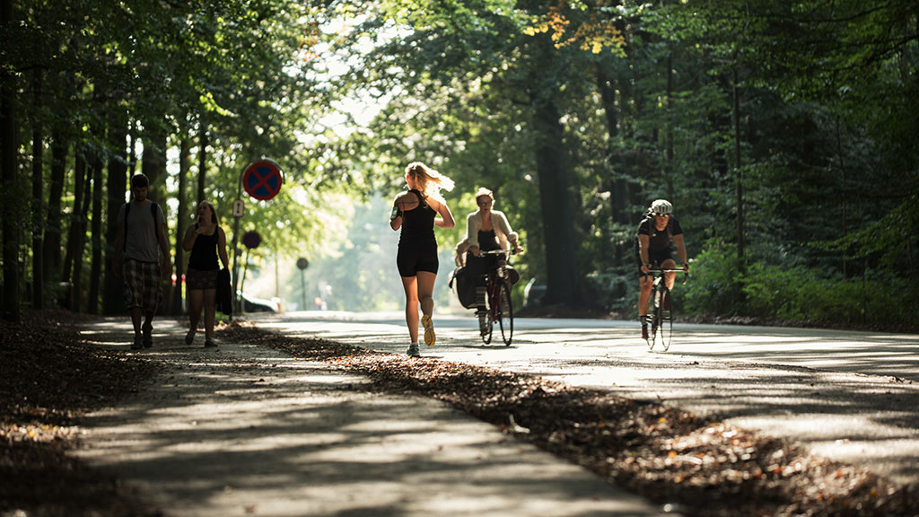 Skønne løberuter i skovene i Aahrus