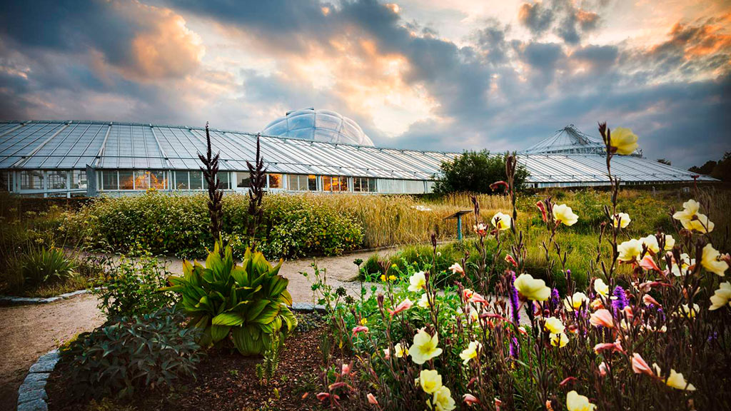 Væksthusene og Botanisk Have i Aarhus
