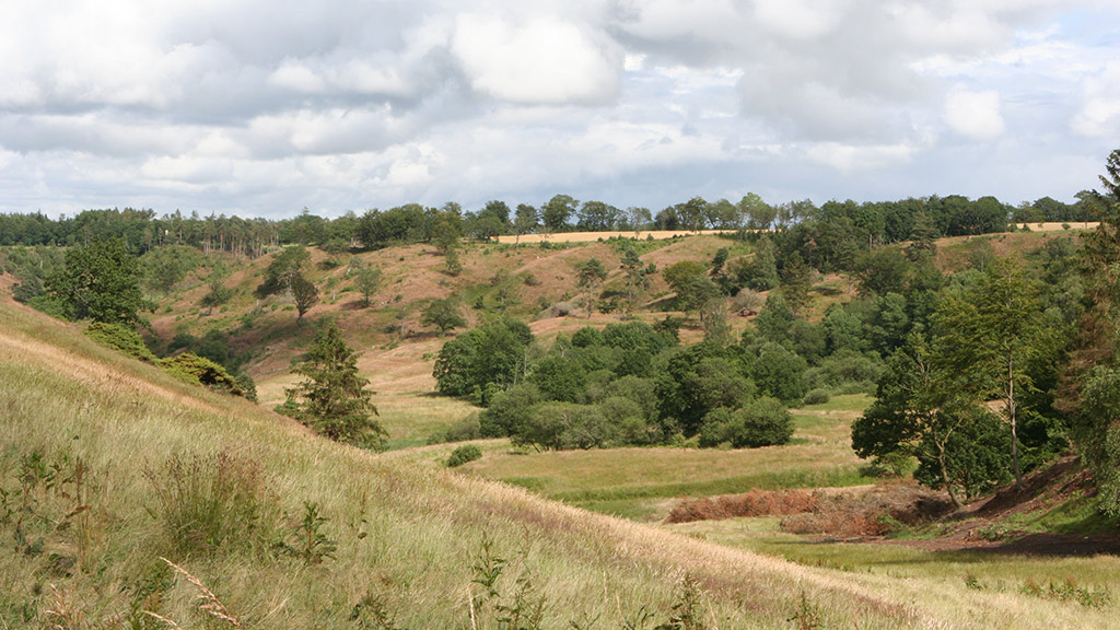 Skeldalen ved Slugten Viborg