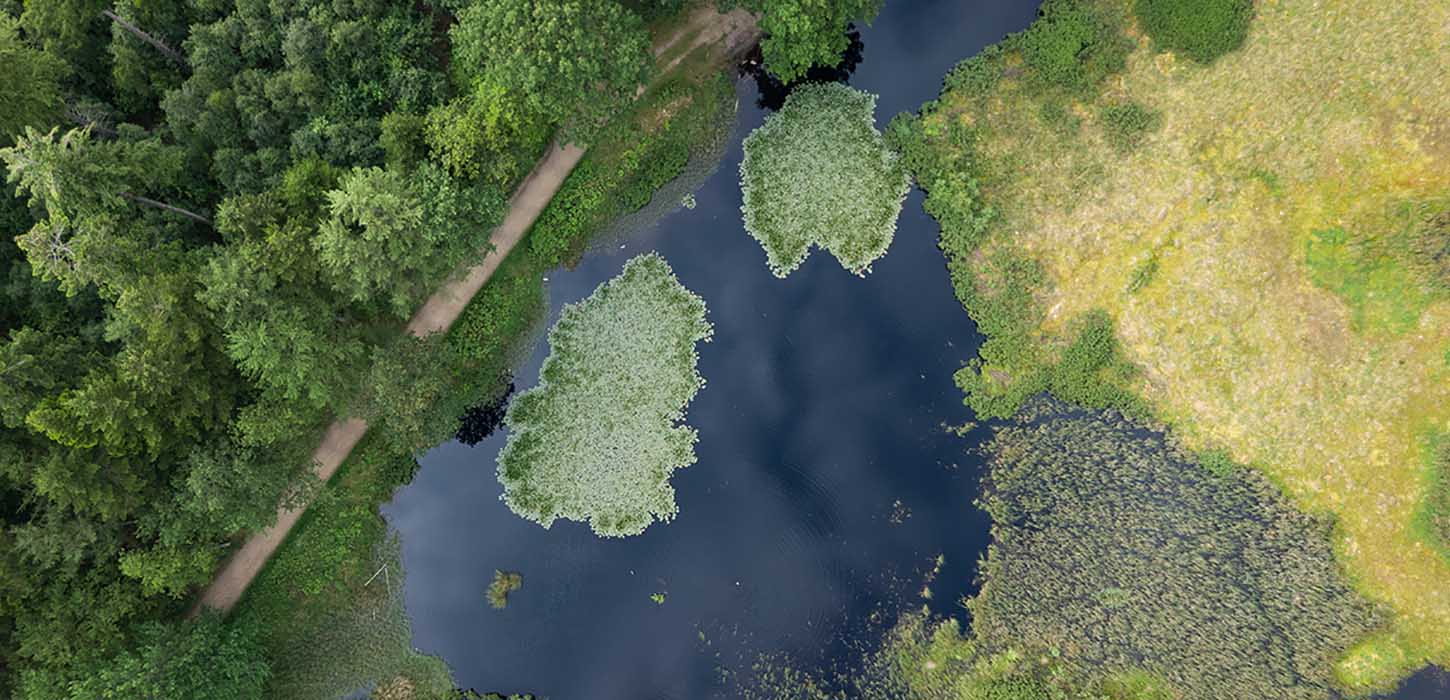 Hiking in Undallslund Forest by Viborg