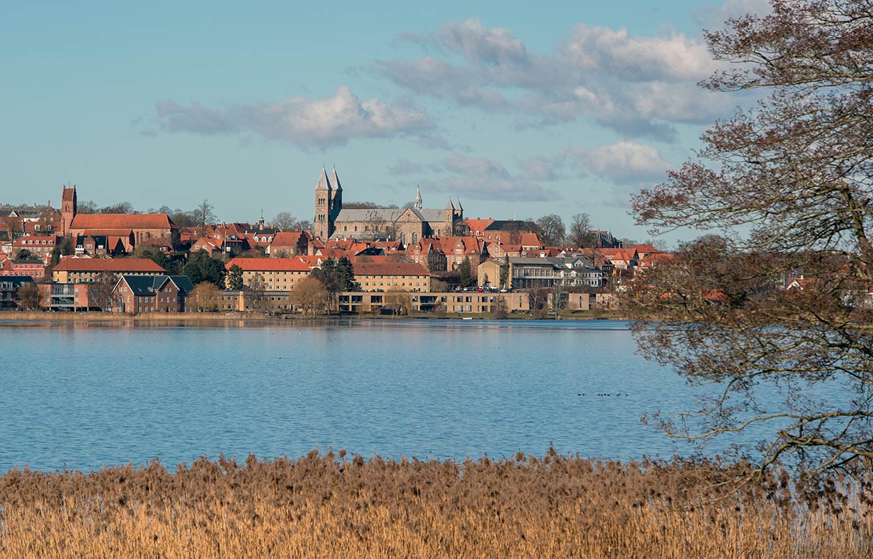 Der Domkirche und Søndersø in Viborg