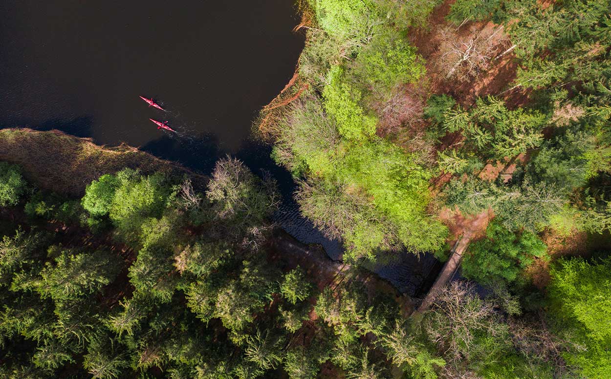 Dronefoto af to personer i kajakker på en sø med skov rundt om