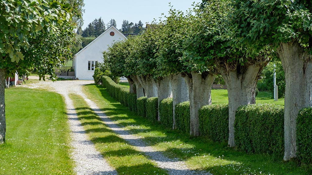 Molshøjgård holiday apartments on Djursland