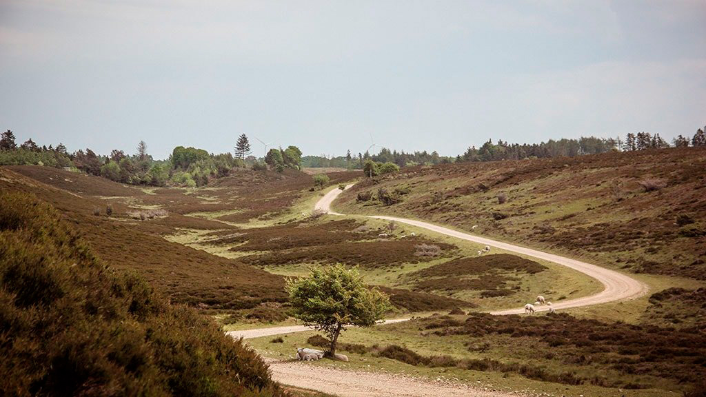 Kongenshus Mindepark ved Viborg