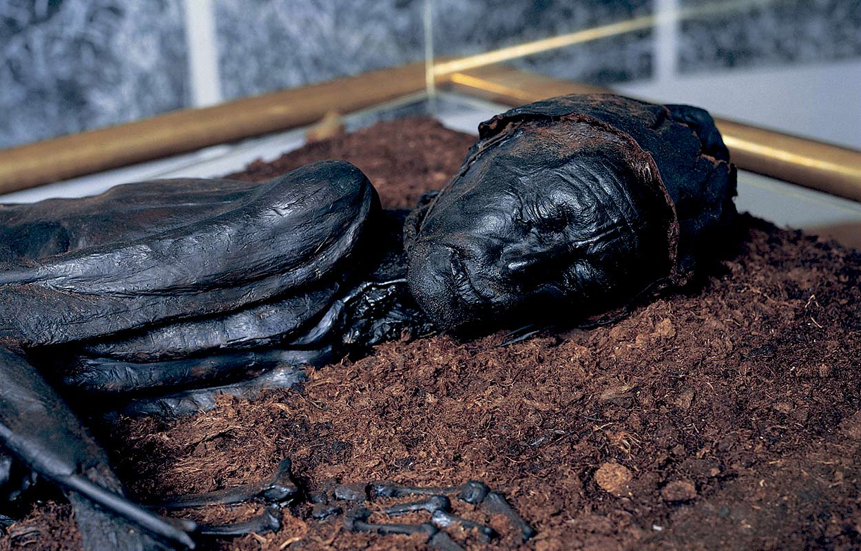 Tollundmanden in Silkeborg