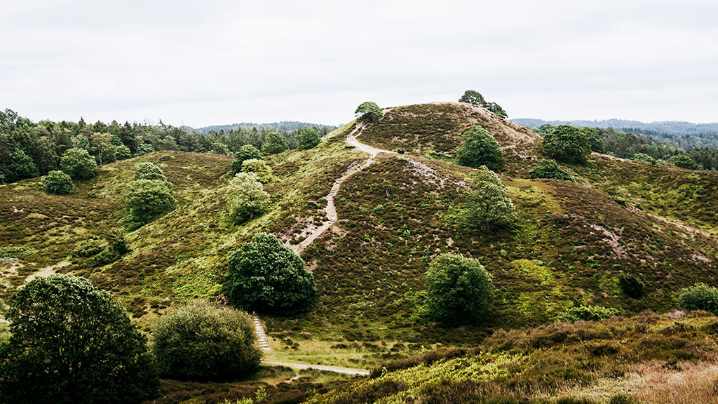Sindbjerg og Stoubjerg ved Silkeborg