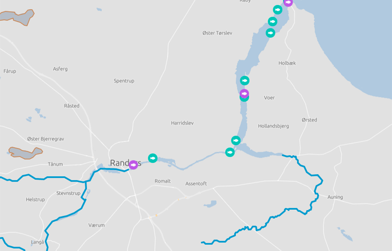 Fiskepladser i Randers på FishinginDenmark