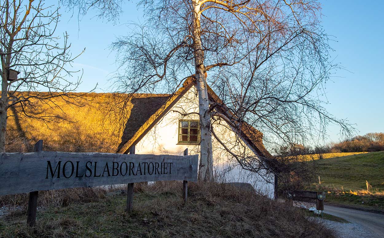 Molslaboratoriet på Djursland