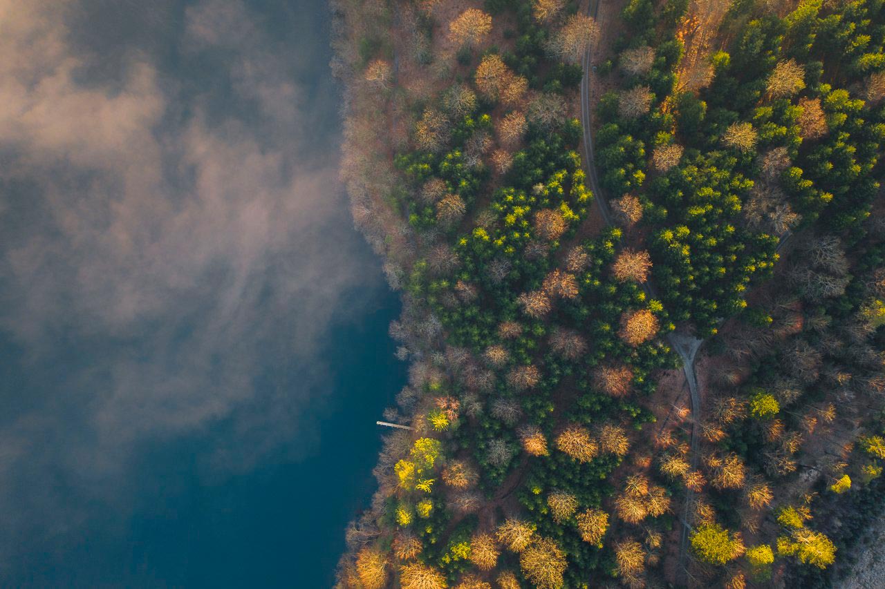 Borre Sø ved Silkeborg