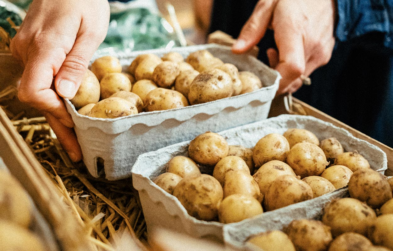 Kartofler hos Kalø Økologisk Gårdbutik