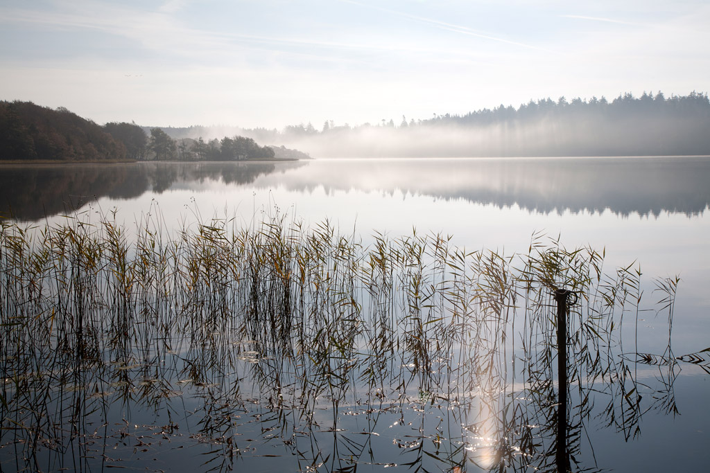 Almind Sø ved Silkeborg