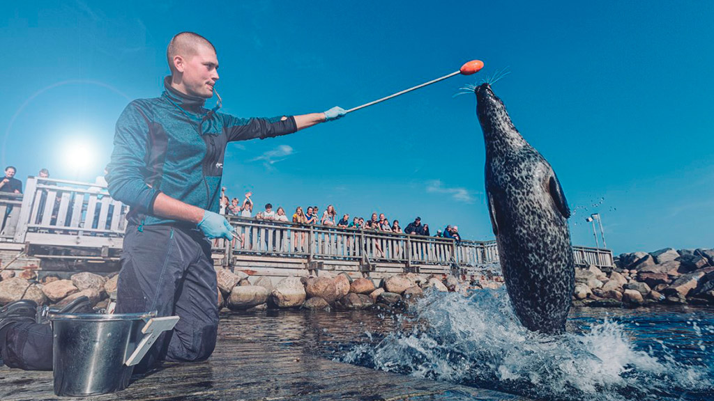 Kattegatcentret i Grenaa