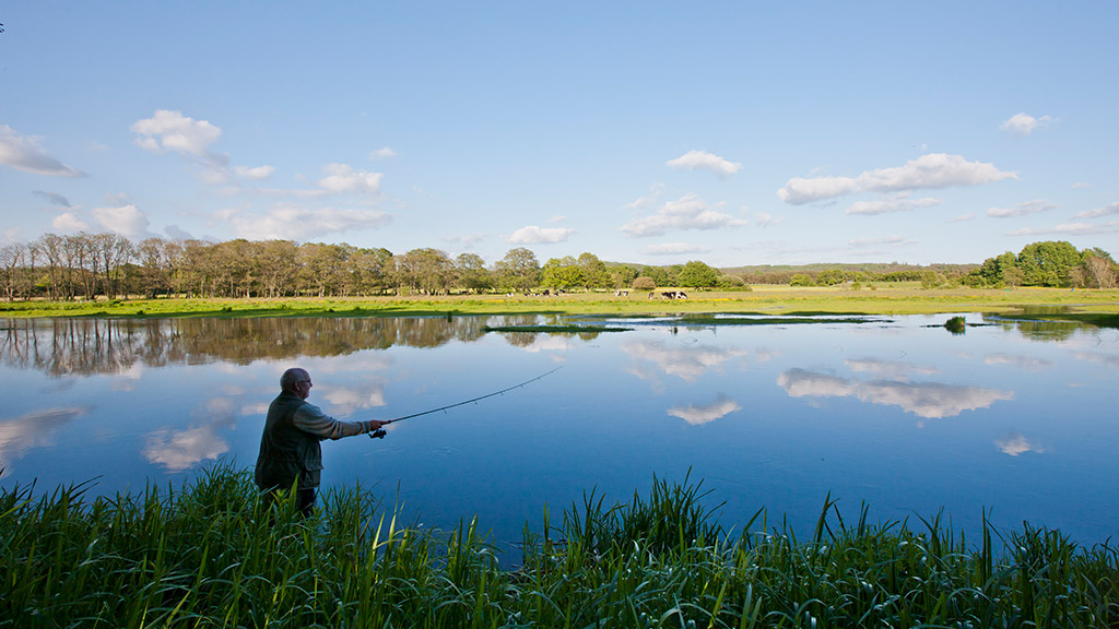 Tg på fisktrur til Kongegnsbro ved Silkeborg