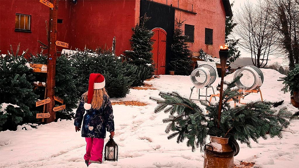 Jul på Stougaarden