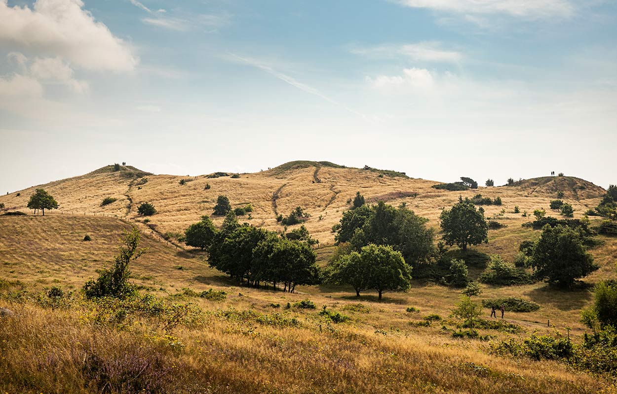 Trehøje i Nationalpark Mols Bjerge på Djursland