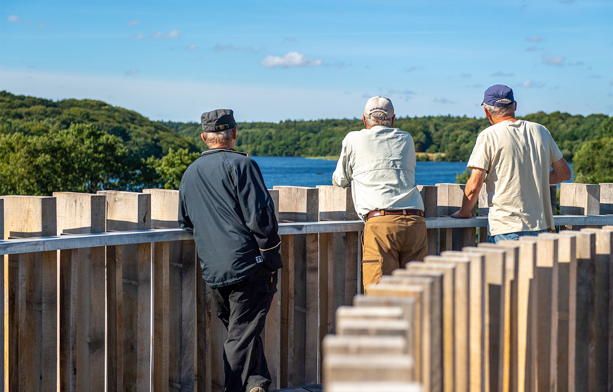 Gruppetur til ruinen Hald Slot ved Viborg