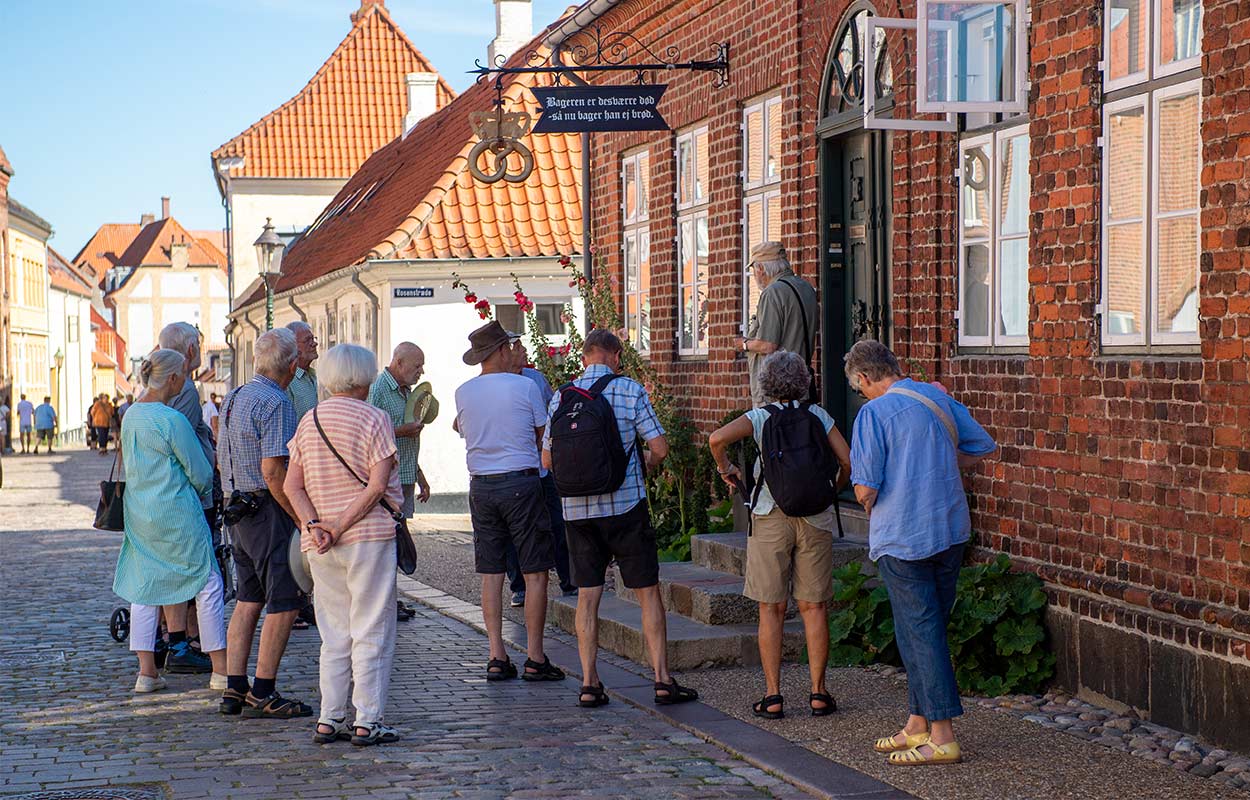 Guidet tur i Viborg