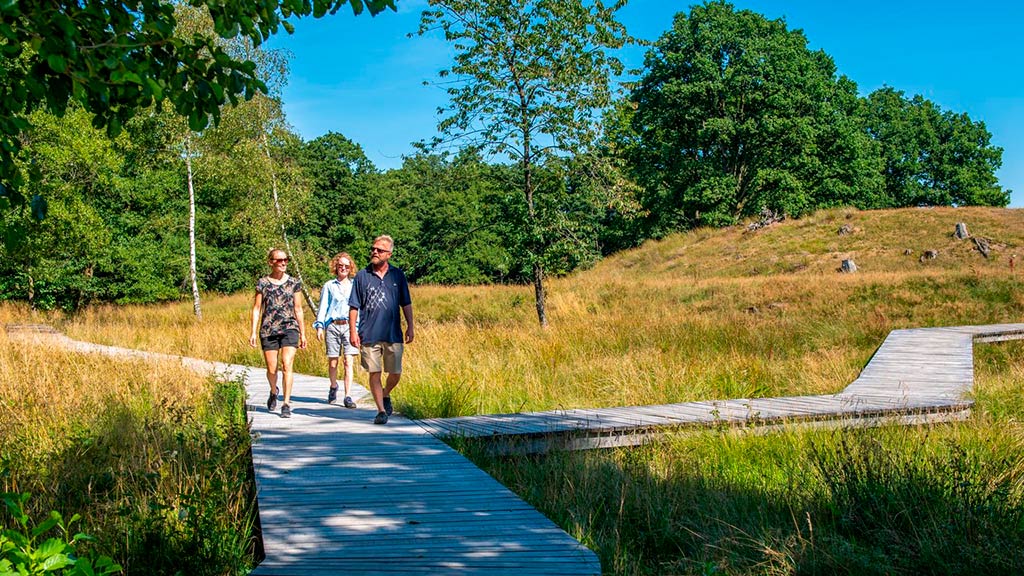 Vandre ved de fem halder i Viborg