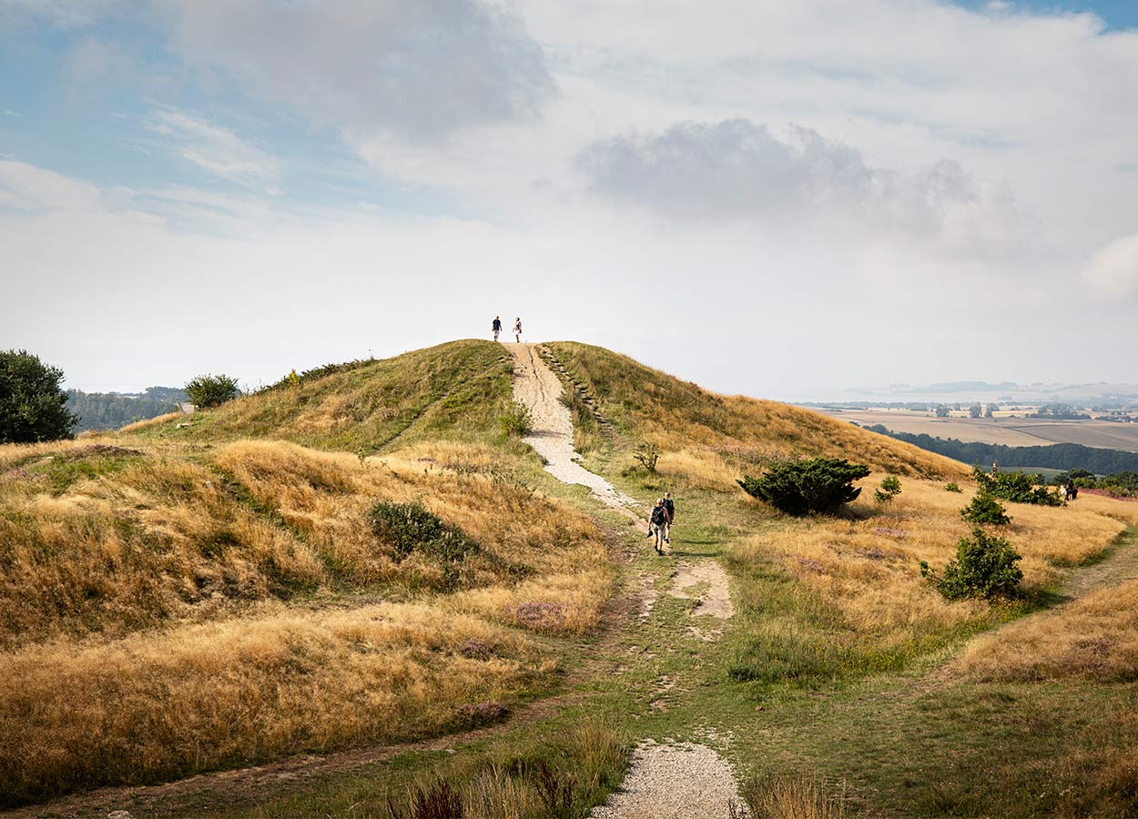 Trehøje i Mols Bjerge på Djursland