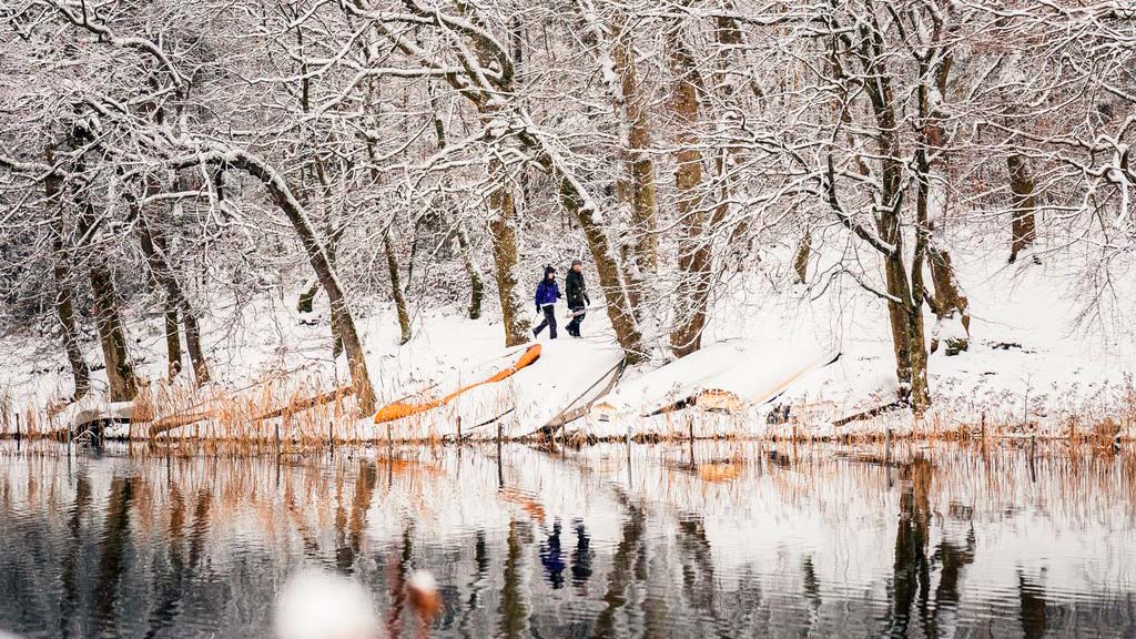 Almind Sø i vinterklæder