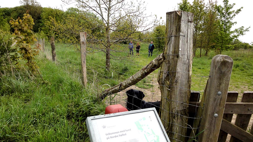 Hundeskov i Randers Kommune