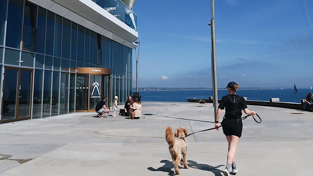 Besøg på Aarhus Øje med hund
