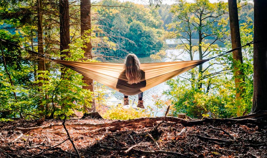 Udsigt over søerne ved Silkeborg i Søhøjlandet