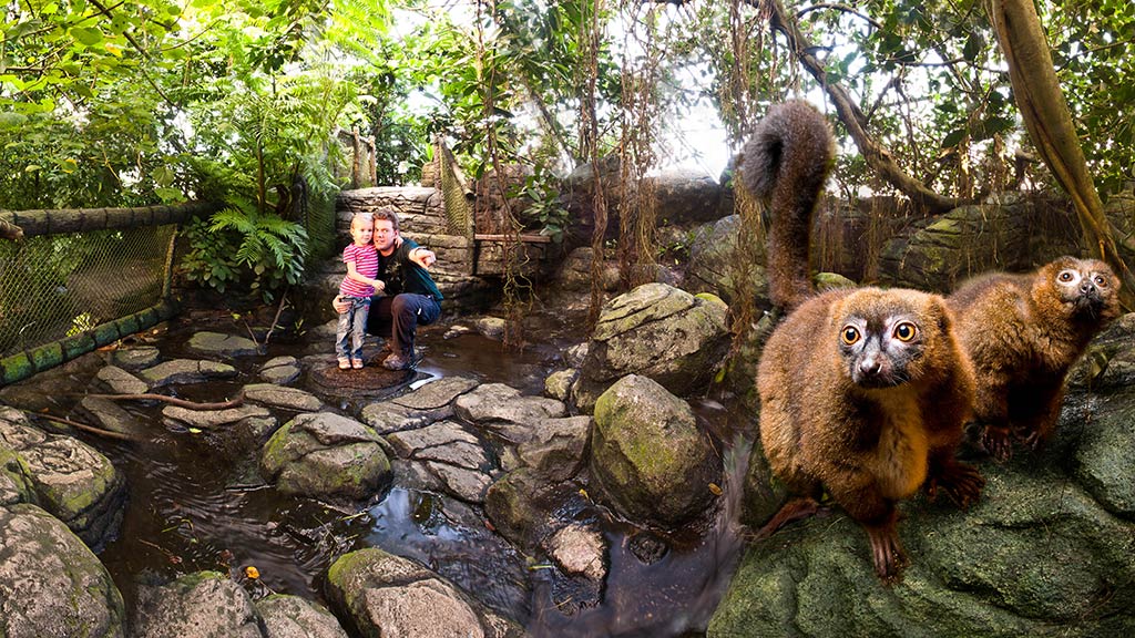 Afrikas vadested i Randers Regnskov