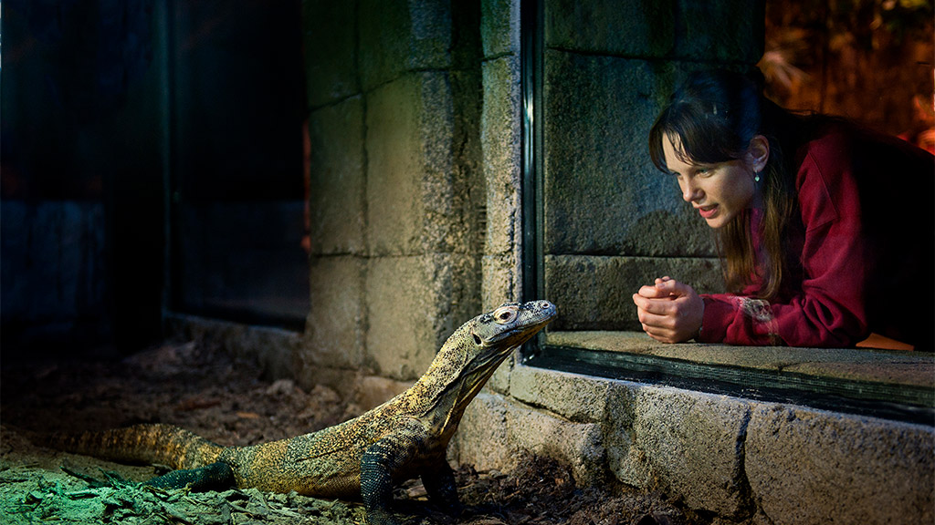 Tæt på dyrene i Randers Regnskov