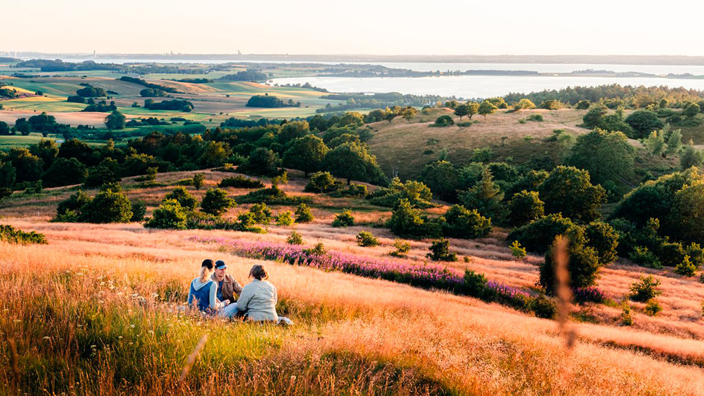 Venner hygger sig i Mols Bjerge på Djursland
