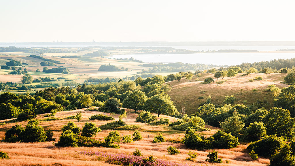 Udsigt fra Mols Bjerge over vandet