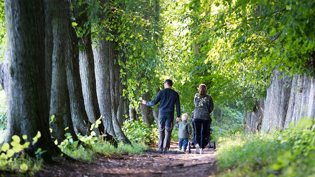 Familietur i skoven i Viborg