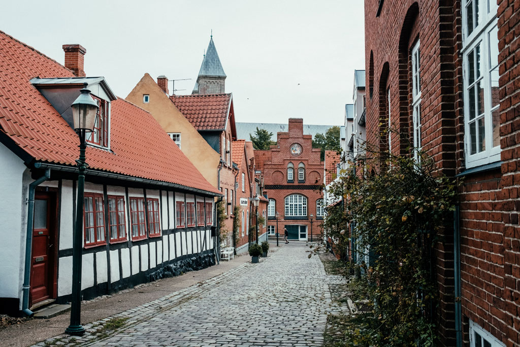 Viborg by
