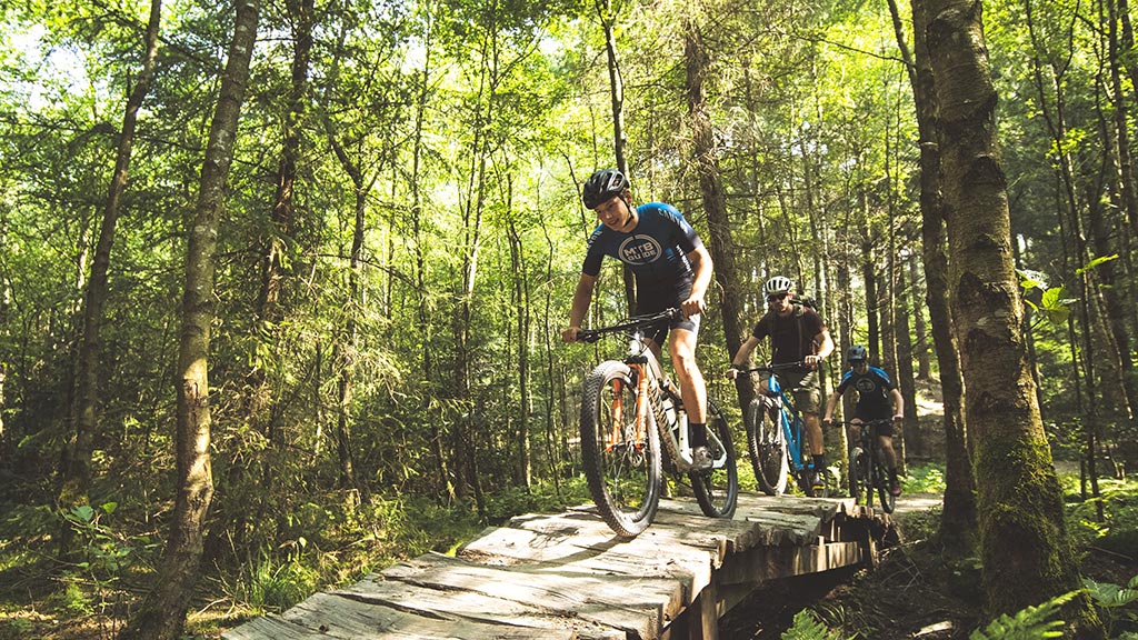 Venner på mountainbike - MTB i Silkeborg Skovene