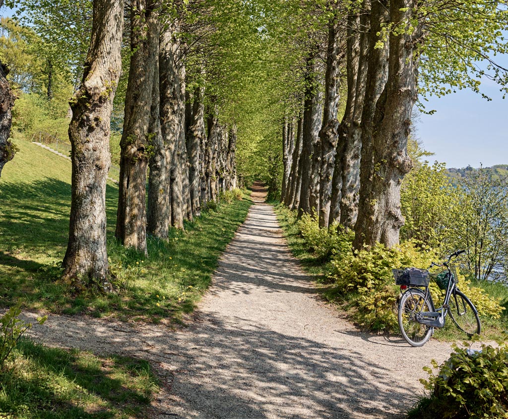 Cykelpause ved De fem Halder på Hærvejen