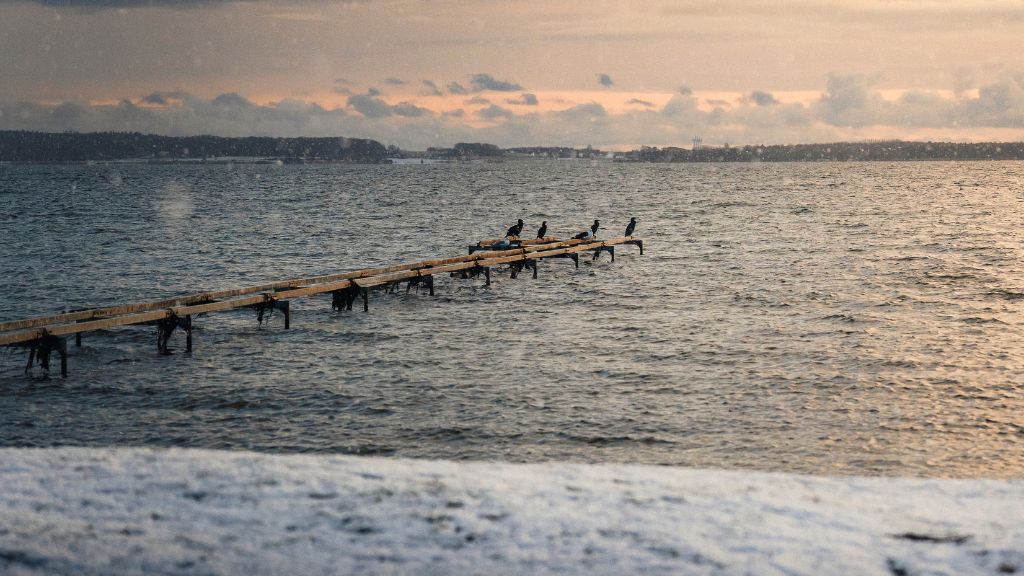 Sne og vinter på strand på Djursland