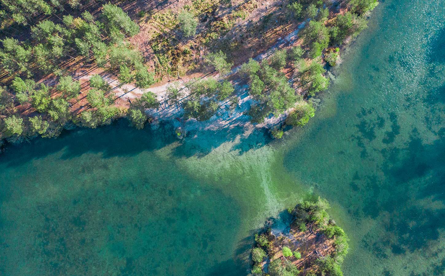 Schoubyens Sø ved Silkeborg