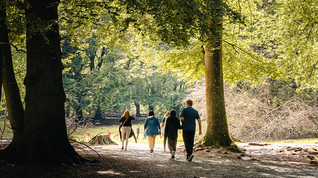 Marselisborg Skov i Aarhus