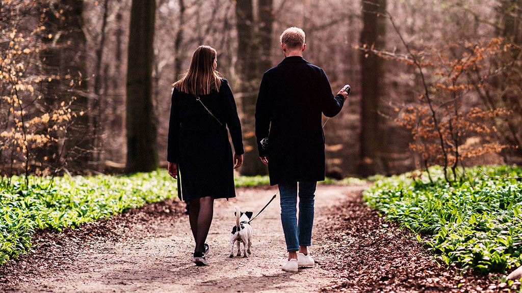 Par på gårtur med hund i Aarhus
