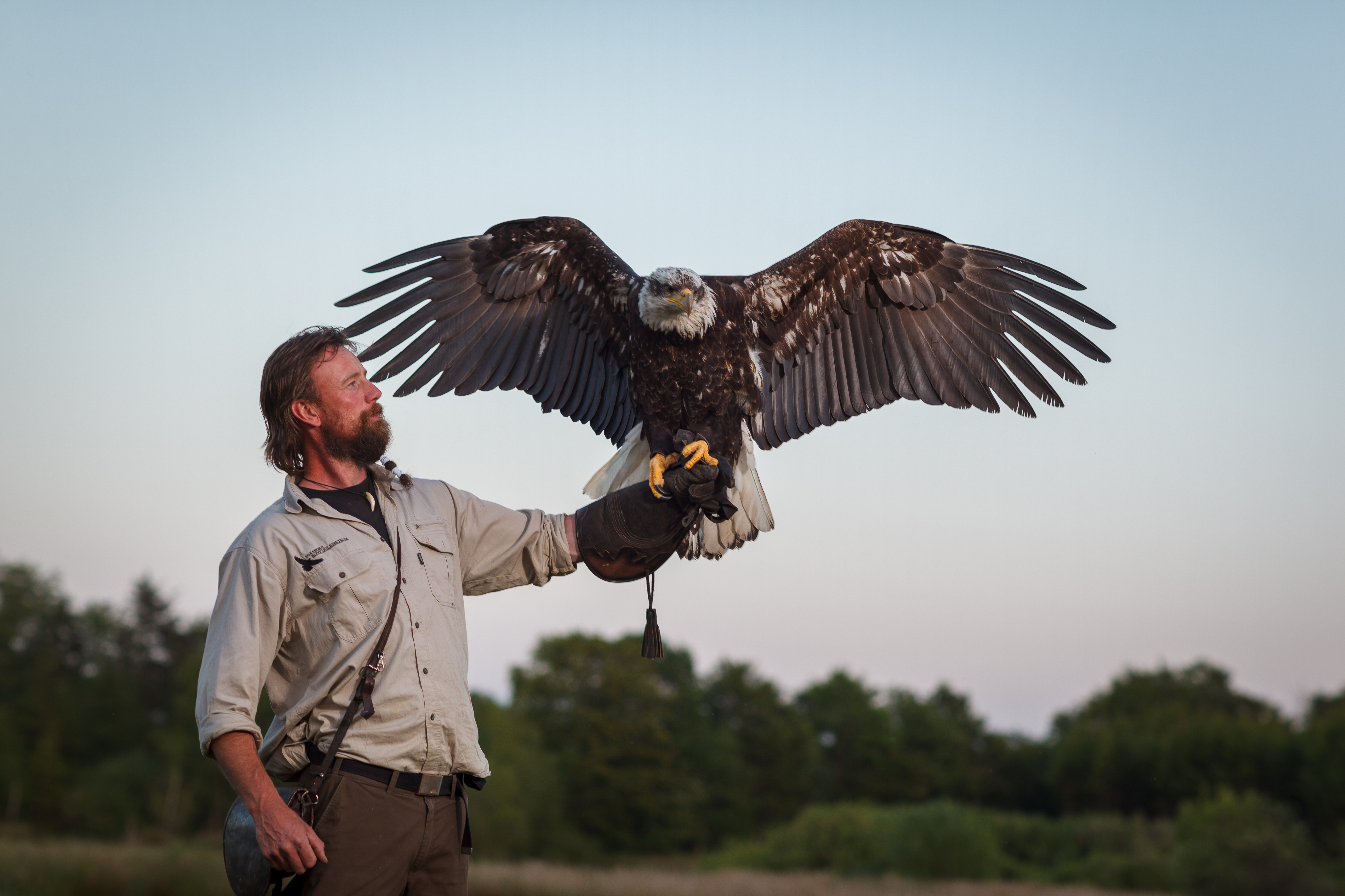 Silkeborg Ørnereservat, Rovfugleshow og Bisonfarm