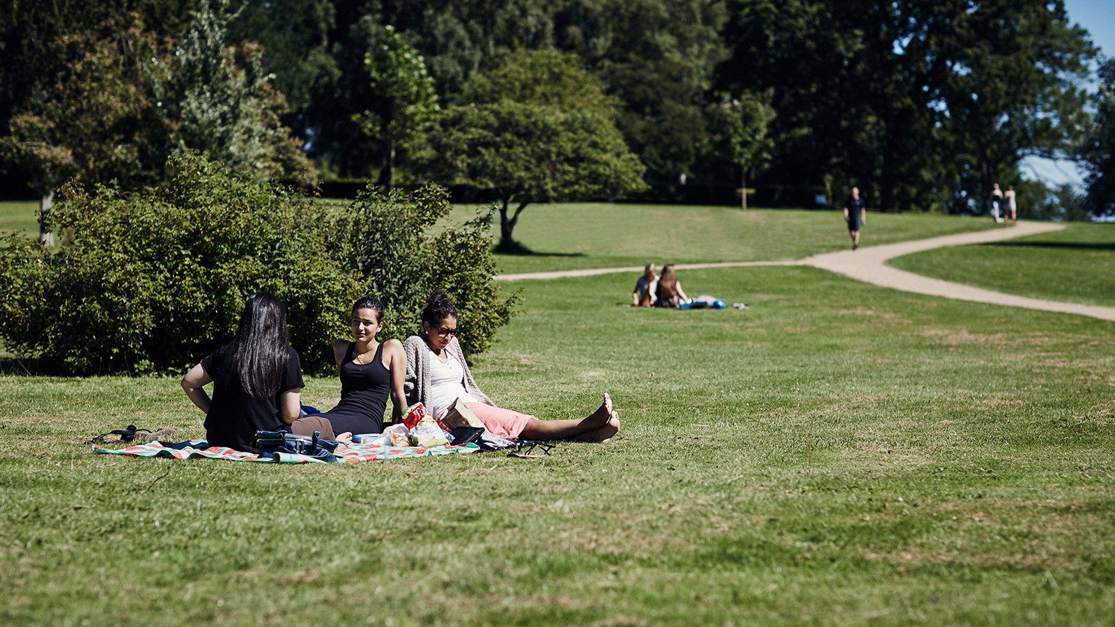 Veninder i Mindeparken i Aarhus